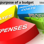 what is a purpose of a budget