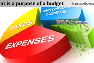 what is a purpose of a budget