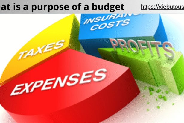 what is a purpose of a budget