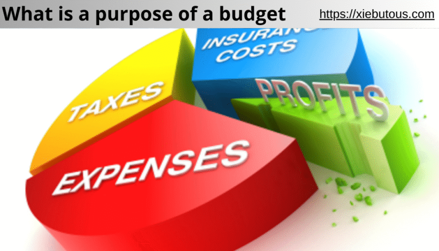 what is a purpose of a budget