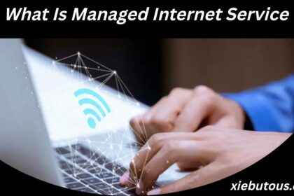What Is Managed Internet Service