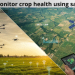 how to monitor crop health using satellites