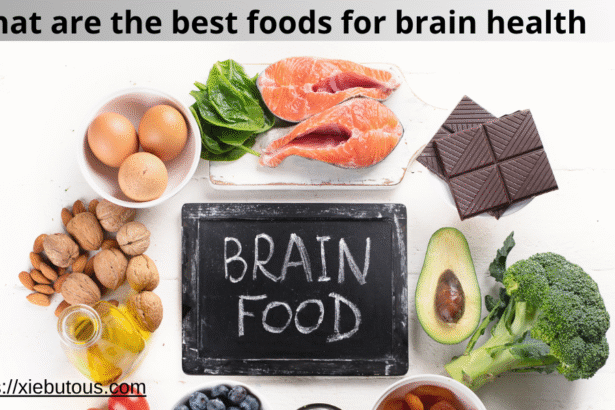 what are the best foods for brain health