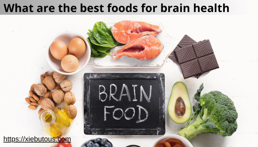 what are the best foods for brain health