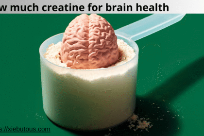 how much creatine for brain health