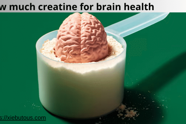 how much creatine for brain health