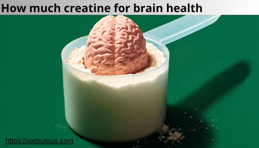 how much creatine for brain health
