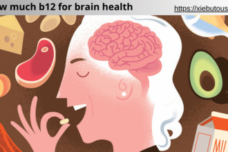 how much b12 for brain health