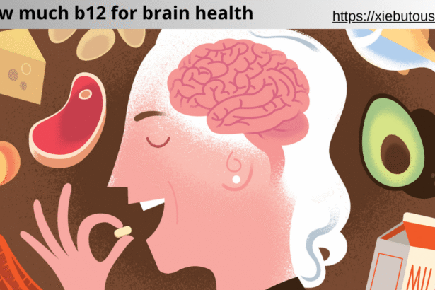 how much b12 for brain health