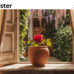 pyntekvister